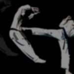 Combat Sports (Taekwondo, Karate, Judo, Kung-fu, Wrestling, Boxing)